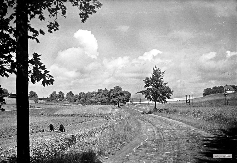 Promenadenweg nach Rieckdahl (1926)