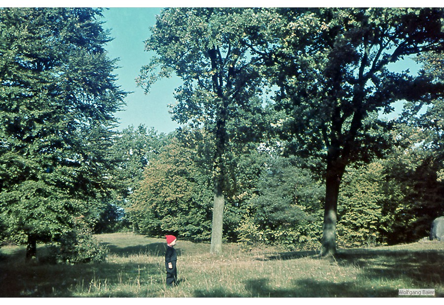 Stadtpark (um 1938)
