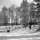 Wintervergnügen im Stadtpark 1929 (Foto: Wolfgang Baier)