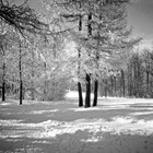 Winter im Stadtpark 1929 (Foto: Wolfgang Baier)