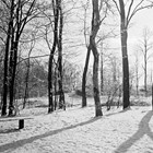 Winter im Stadtpark 1930 (Foto: Wolfgang Baier)