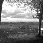 Blick aus dem Wossidlopark über die Gärten und die Riekdahler Wiesen zum Petridamm1936 (Foto: Wolfgang Baier)