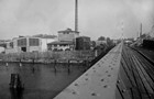 Blick von der Petribrücke auf die Riedelsche Dachpappenfabrik um 1962. (Foto: Sammlung Achim Merkord)